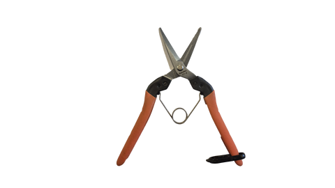 Saboten Harvesting Scissors 58 mm (Straight Blade)